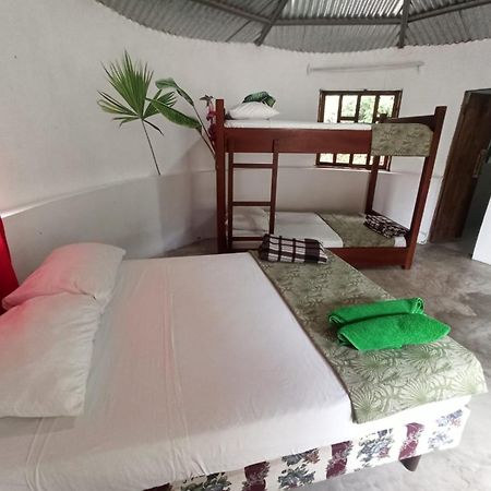 Guest House Great Hostels Amazon Puyo Eksteriør bilde