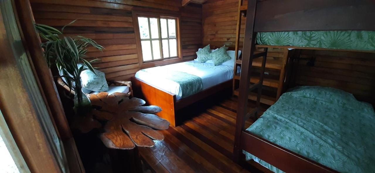 Guest House Great Hostels Amazon Puyo Eksteriør bilde