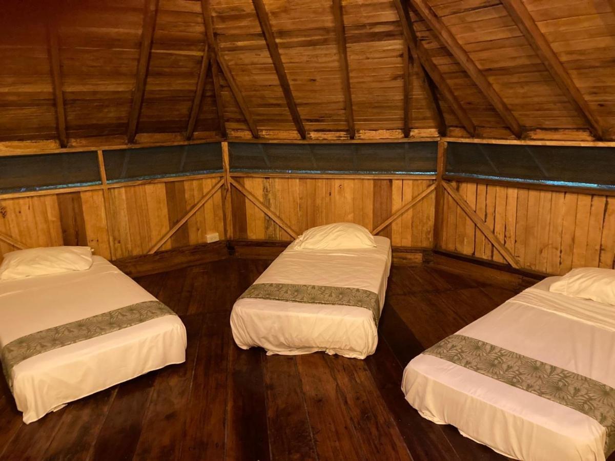 Guest House Great Hostels Amazon Puyo Eksteriør bilde