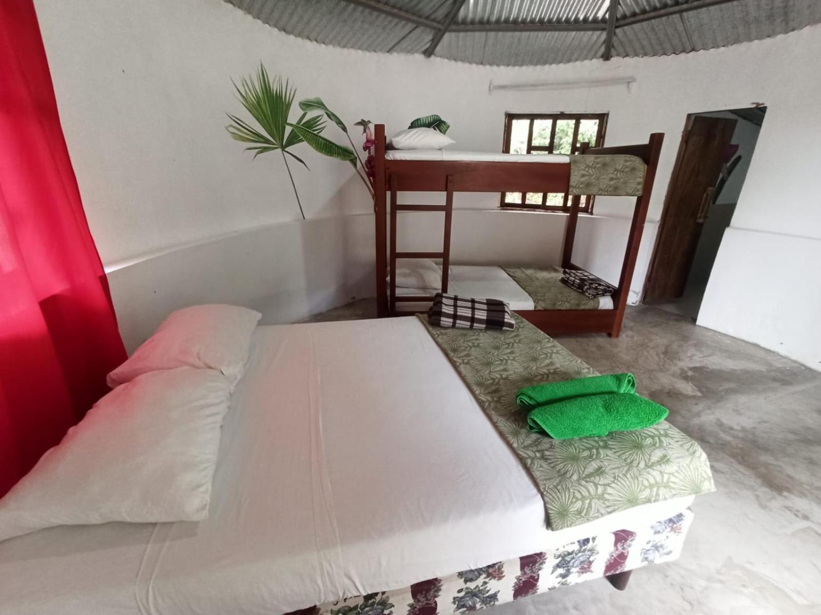 Guest House Great Hostels Amazon Puyo Eksteriør bilde