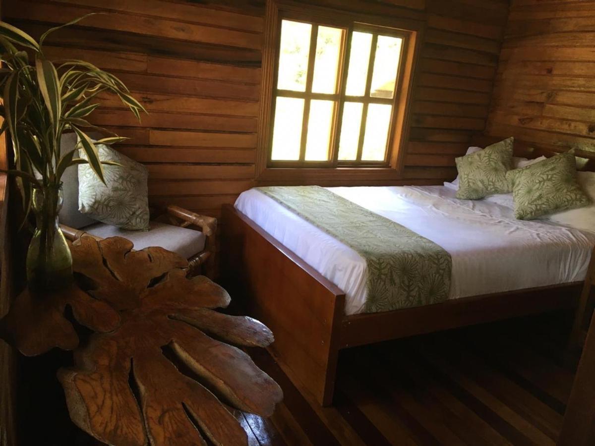 Guest House Great Hostels Amazon Puyo Eksteriør bilde